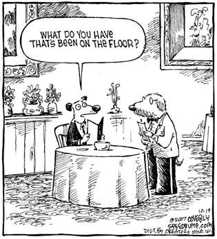 Dog Dining In Restaurant